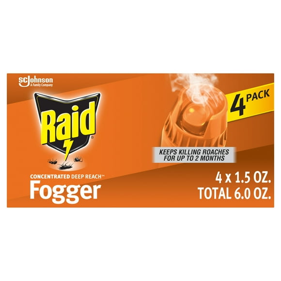 Raid Bug Spray