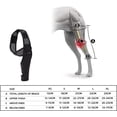 thumbnail image 3 of Rodillera QUETOi para perros, soporte para rodilla de mascota, vendaje para patas delanteras y traseras, protector de codo canino, manga de recuperación para artritis u osteoartritis, negra (L), 3 of 5