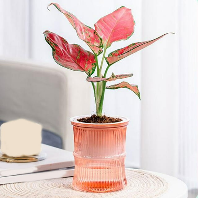 Dvkptbk Self-Absorbing Lazy Transparent Water Storage Mess Cultivation Small Potted Flower Pots, Indoor Living Room Desktop Water Storage Mess Cultivation Plastic Flowe Flowerpot Flowerpot