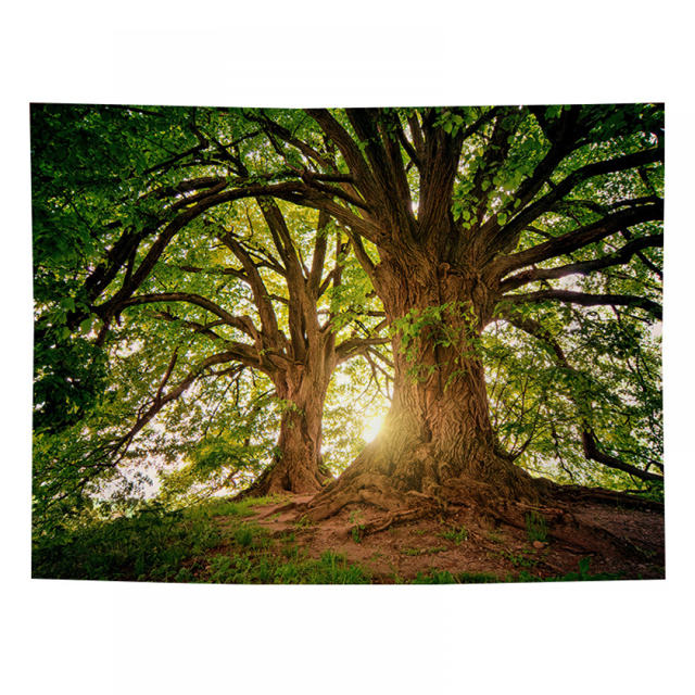 Tapices Tapiz de pared para decoración de dormitorio, tapiz de bosque natural, tapiz de árbol, paisaje, tapiz verde oscuro, póster decorativo, 59 "de largo x 51" de ancho, verde