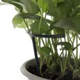 thumbnail image 4 of 6 Pcs Arcuated Plant Support Stakes Garden DIY Climbing Trellis Flower Stand, 4 of 7