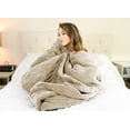 thumbnail image 3 of Pure Warmth Velour Sherpa Electric Heated Warming Blanket Twin Linen, 3 of 4