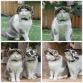 thumbnail image 6 of Minzimin Pet hat with Ear Holes Sunscreen Baseball Cap Suitable for Small and Medium-Sized Dogs Outdoor Climbing hat in Summer Pet Products  1Pack, 6 of 6