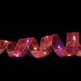 thumbnail image 3 of Luces navideñas, luces de doble capa de malla ROJA con decoración festiva para fiestas de árboles de Navidad (multicolor), 3 of 5