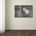 thumbnail image 4 of Trademark Fine Art 'Feather on Wood II' Canvas Art by Cora Niele, 4 of 4