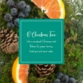 thumbnail image 4 of Scentsicles, Scented Ornaments, 6ct Bottle, O Christmas Tree, Fragrance-Infused Paper Sticks, 2 Pack, 4 of 5