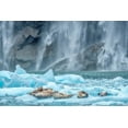 thumbnail image 2 of Engelbrecht, Jim 18x13 Black Ornate Wood Framed with Double Matting Museum Art Print Titled - Waterfall-Harbor Seal-LeConte Bay-Alaska, 2 of 4