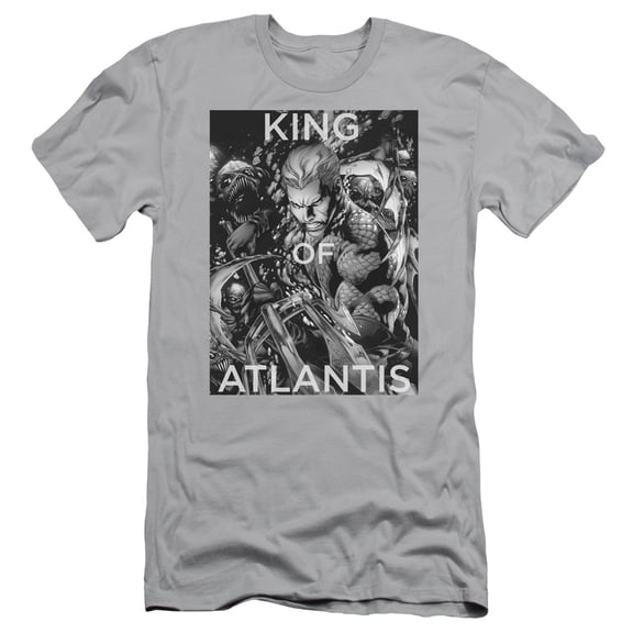 JLA Justice League King Of AtlantiS/S S Adult 30/1 T-Shirt Silver