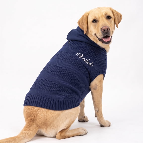 Vibrant Life Holiday Waffle Knit Spoiled Sweater for Dogs, Blue, L