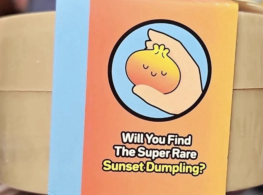 Crazy Fun Sunset Mystery Squishy Bun Dumpling Squeeze Toy, 1 Random Color