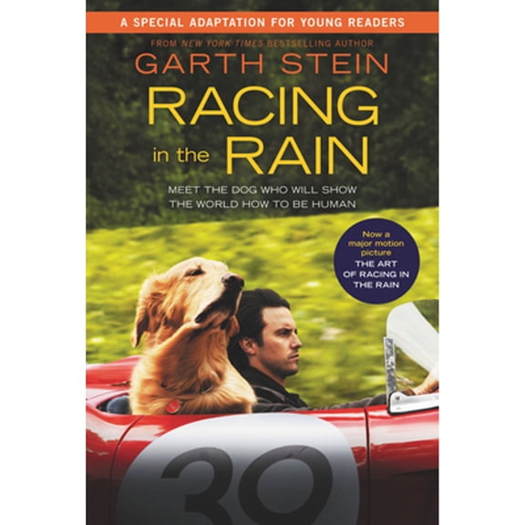 Pre-Owned Racing in the Rain (Paperback) 0062935070 9780062935076