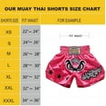 thumbnail image 4 of FLUORY Muay Thai Fight Shorts,MMA Shorts Clothing Training Cage Fighting Grappling Martial Arts Kickboxing Shorts Clothing, 4 of 9