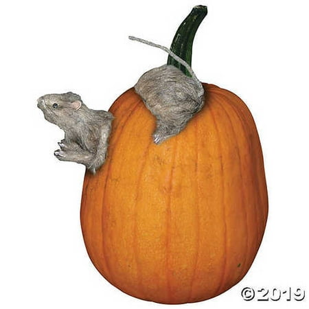 Rat Pumpkin Push-In
