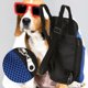 thumbnail image 1 of Portador frontal para mascotas, Mochila frontal para mascotas Mochila portadora para mascotas Mochila frontal para mascotas diseñada a medida Jadeshay A, 1 of 8