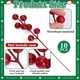 thumbnail image 3 of 45 Ramas Artificiales de Pino Navideño con Frutos Rojos, Hojas de Pino Norfolk Perennes Artificiales y Ciprés para Manualidades., 3 of 5