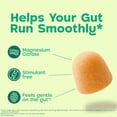 thumbnail image 2 of Dulcolax Daily Gut Support Gummies, Magnesium Formula, Stimulant-Free, Orange Flavor, 60 Count, 2 of 11