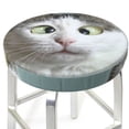 thumbnail image 3 of Balery Funny Cat Velvet Round Bar Chair Cushion Cover Adjustable, Protects From Scratches And Stains, Soft & Washable Ideal For Wooden And Metal Stools - 13 Inch, 3 of 7
