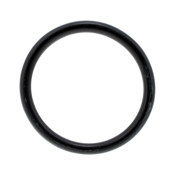 Ski-Doo 415093804 BRP O-Ring