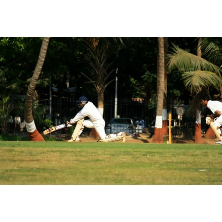 India Cricket Games LAMINATED POSTER Cricket India Batsman Wicketkeeper Ball Game Poster Print 24 x 36 ()