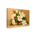 thumbnail image 2 of Trademark Fine Art ' Southern Magnolias' Canvas Art by Barbara Mock, 2 of 3