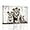 Lion Family Wall Art, variant on ZHONGYUTONG Lion Canvas Print Wall Art Black and White Animal Picture Wildlife Portrait Painting Modern Home Living Room Office Wall Decor Frame (20.00" x 30.00")
