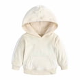 thumbnail image 4 of RYRJJ 2 Piece Outfits for Girls Boys Kids Toddler Velour Hoodie Sweatshirt and Jogger Sweatpant Tracksuit Set Sweatsuit Athletic Clothes(Beige,6-7 Years), 4 of 9