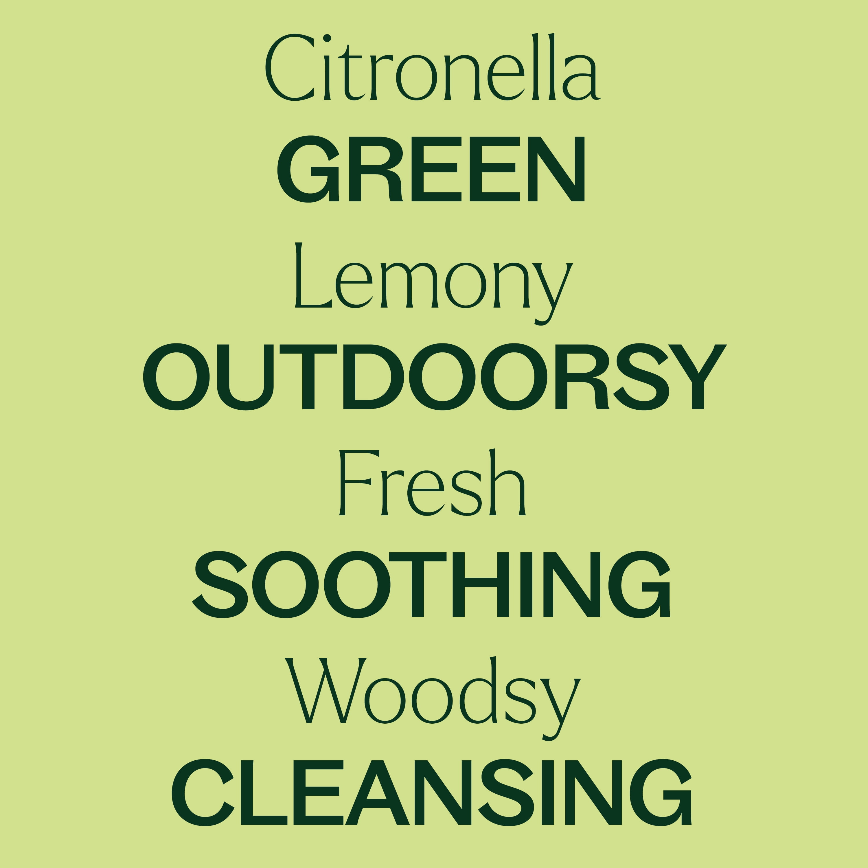 Plant Therapy Citronella Essential Oil 100 mL (3.3 oz) 100% Pure, Undiluted, Natural Aromatherapy