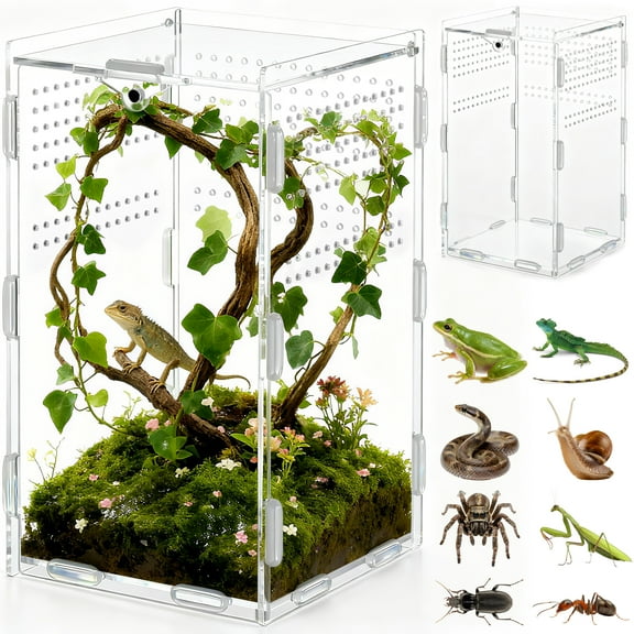 YESGIRL Jumping Spider Enclosure Accessories,4.8"x4.8"x7.9" Acrylic Clear Reptile Terrarium for Spiders, Mantises, Tarantulas & Frogs