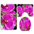 thumbnail image 1 of ABPHQTO Hermosas flores rosadas Juego de alfombras de baño de 3 piezas Alfombra de baño Alfombra de contorno y tapa de inodoro ABPHQTO Cont-CHAPPLE-26904, 1 of 2