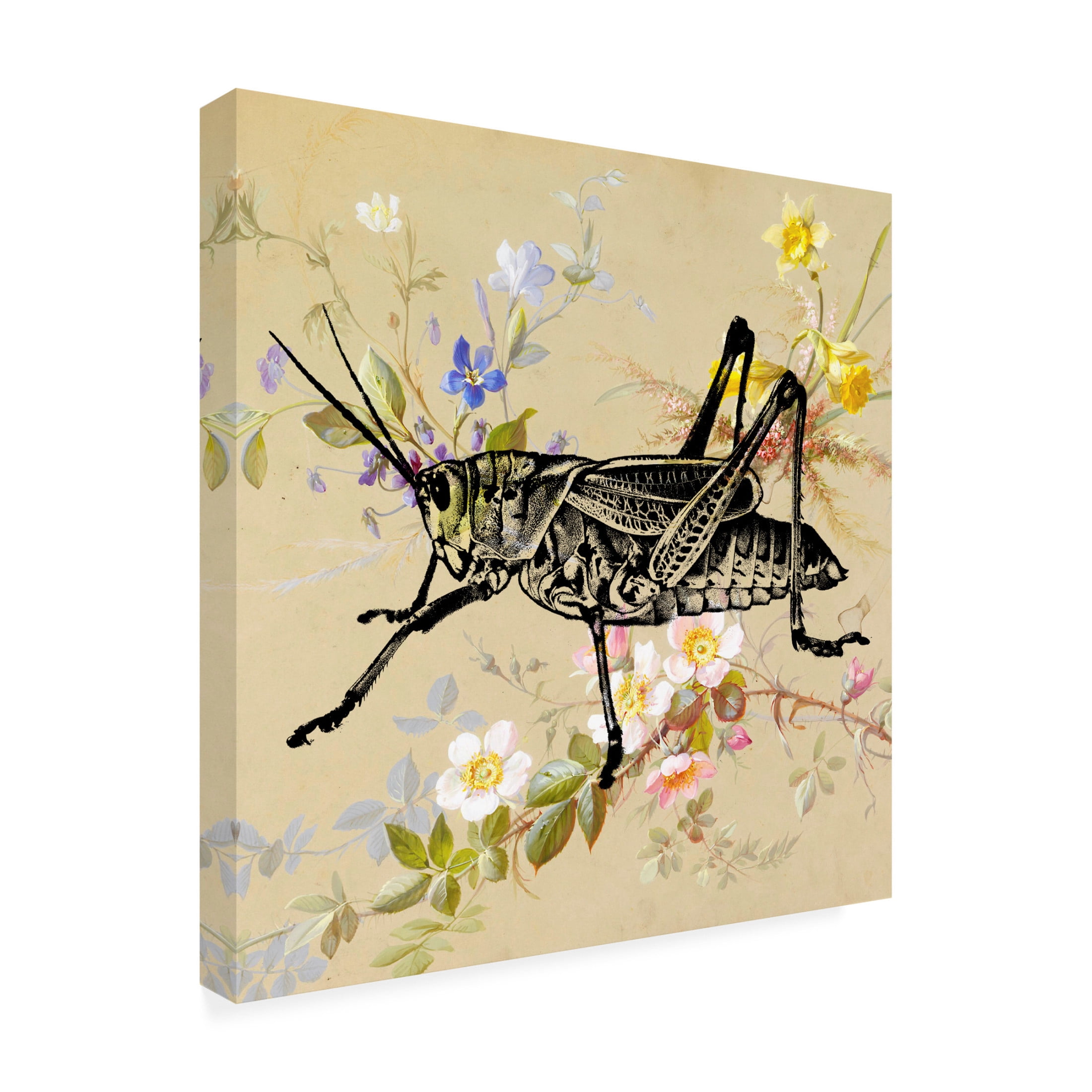 Canvas Wall Art - Dean Russo- Exclusive 'Grasshopper Wallpaper' Wall Art for Living Room, Bedroom, or Office Décor by Trademark Fine Art - 18 x 18 Inches