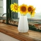 thumbnail image 4 of Florero, Florero decorativo, Moderno, para el hogar, Centros de mesa, Bodas, Plástico, Diseño elegante, Alto rendimiento, Fácil de limpiar, para sala de estar, Especificaciones: Material, 4 of 7