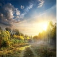 thumbnail image 2 of Art.com Fog in Autumn Wood at the Sunrise Stretched Canvas Print Wall Art by Givaga, 16" x 16", 2 of 4