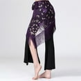 thumbnail image 6 of Female Mesh Hanging Belly Dance Hip Skirt Scarf Fussel  Sequins Tassel, 6 of 8