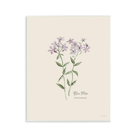 Stupell Industries Country Herb Diagram Botanical & Floral Painting Unframed Art Print Wall Art, 11 x 14