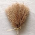 thumbnail image 3 of Ramo de hierba de pampa artificial, 10/15/30 piezas, flores falsas de pampas, decoración de juncos para habitación, hogar, boda, decoración navideña 2024, 3 of 4