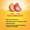 thumbnail image 3 of Airborne Kids Assorted Fruit Flavored Gummies, 21 count - 667mg of Vitamin C and Minerals & Herbs Immune Suppor (Pack of 6), 3 of 7