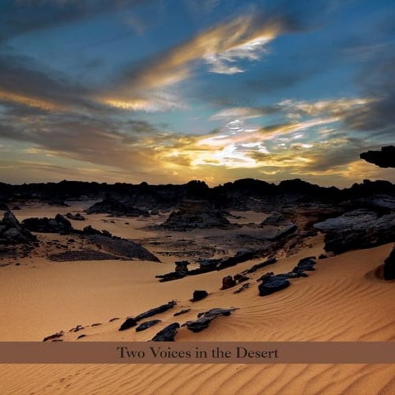 Perry Robinson - Two Voices in the Desert - Jazz - CD