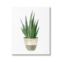 Stupell Potted Aloe Plant Casual Botanical & Floral Painting Gallery Wrapped Canvas Print Wall Art