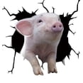 thumbnail image 1 of Funny Pig Cracked Car Sticker Car Window Meme Cattle Decal 12 X 12" Pvc Car Stickerpig 02, 1 of 2
