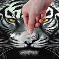 thumbnail image 4 of Black Tiger Jigsaw Puzzles 500 PiecesPuzzles for Adults Family Game Intellective Toys Wall Art Work for Educational Gift Home Decor, 4 of 7