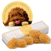 Cheese Dog Macarons | Luxury Dog Treats Handmade in The USA | Healthy and Delicious Gourmet Dog Snack with All-Natural Ingredients for Dogs (Box of 6)