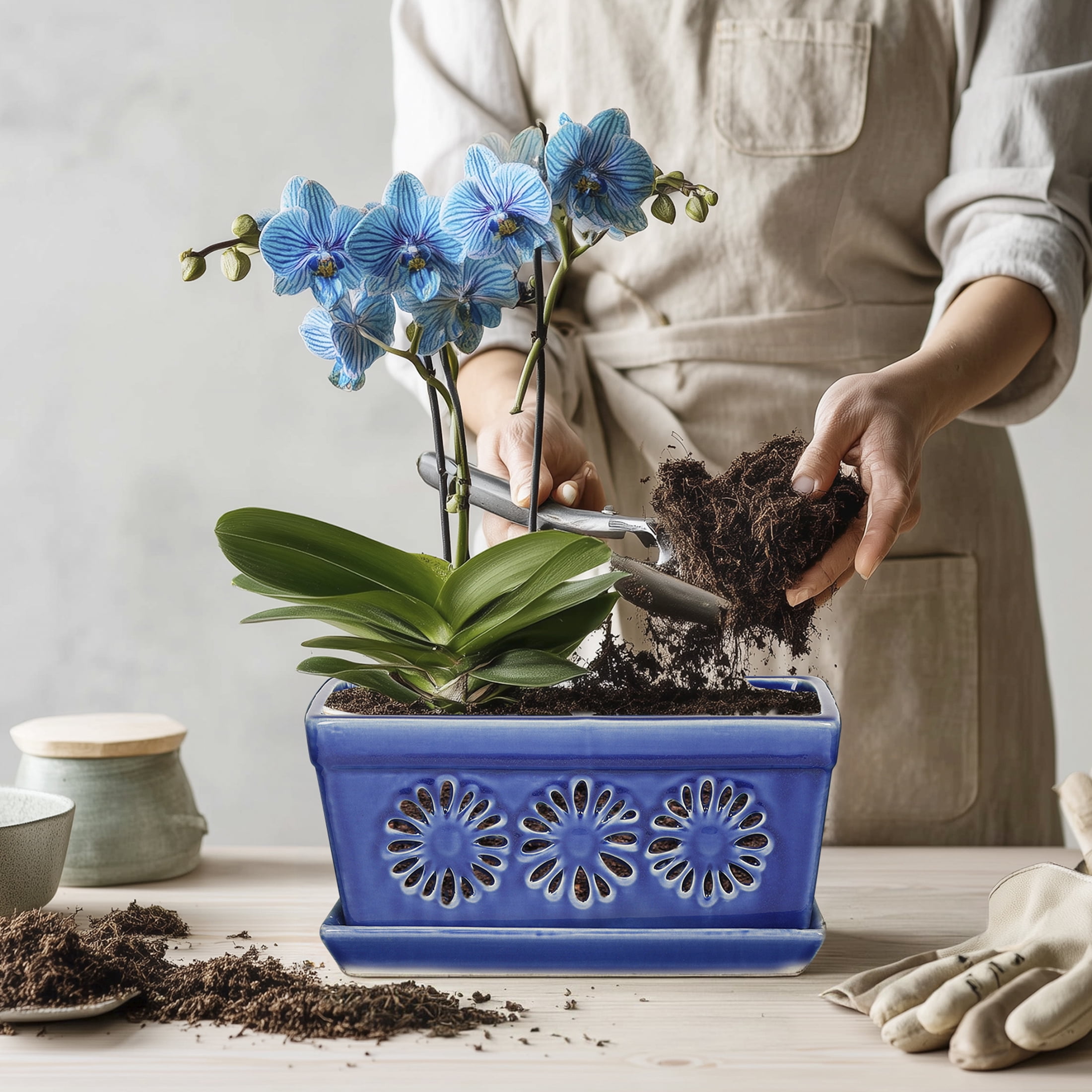 Ceramic orchid pot, 10 inch orchid pots with holes, handmade glazed pot for orchidaceae plants, accommodate 2 orchids, blue