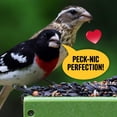 thumbnail image 4 of Semillas para aves COOL BIRDS All Birds 4,5 kg mezcla clásica, 4 of 9