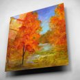 thumbnail image 4 of Epic Art 'Burst of Autumn Color' by Sheila Finch, Acrylic Glass Wall Art, 12"x12", 4 of 8