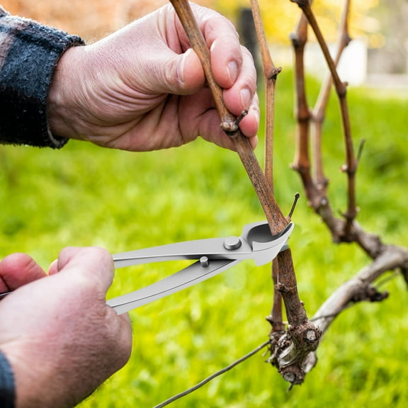 Ikoopy Bonsai Tools Kit Stainless Steel Bonsai Tree Kit Tools Rustproof Bonsai Starter Trimming Kit Time Saving Bonsai Pruning Kit with Ergonomic Long Handle Easy to Use for Gardening