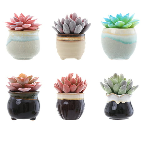 6 Styles Succulent Pots with Drainage, 2.5 inches, 6 Color Pot Trays & 4 Mini Plant Tools for Small Succulents, Cactus, Small Plant