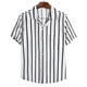 thumbnail image 2 of Blusa informal de manga corta con estampado de rayas y botones para la playa para hombre Pompotops  oipoqjl48045, 2 of 9