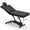 Black, variant on TTGIEET 550 lbs Electric Lift Massage Table, Height Adjustable Spa Esthetician Bed with Remote Control, 55° Adjustable Backrest, Black