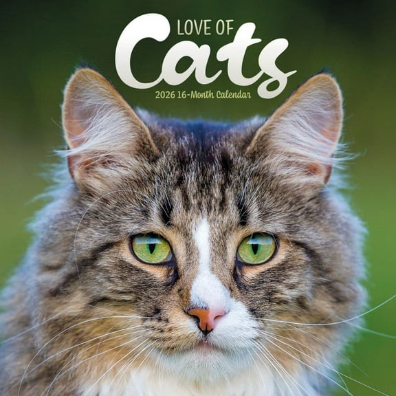 Carousel Calendars, I Love Cats Plato Special Value 2026 Wall Calendar