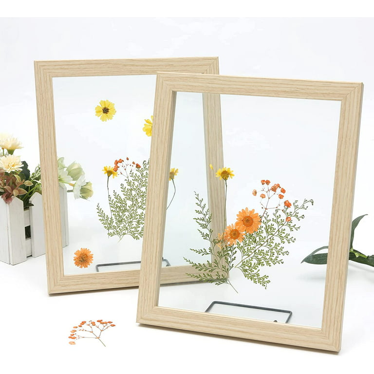 8 Pack Gold 5x7 Floating Glass Picture Frames for Tabletop, Pressed  Flowers, Home Decor 